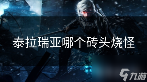 泰拉瑞亚哪个砖头烧怪