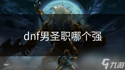 dnf男圣职哪个强