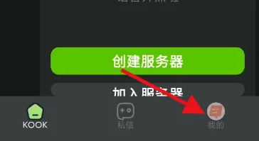 kook语音怎么按键说话 KOOK开启按键说话方法