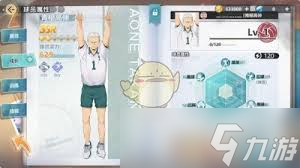 排球少年新的征程公测PVE阵容推荐