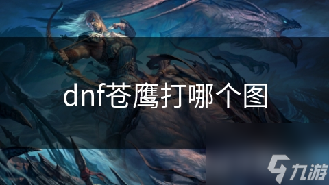 dnf苍鹰打哪个图