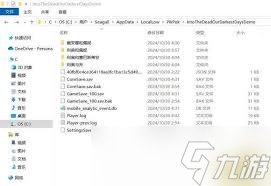 勇闯死人谷暗黑之日存档在哪里在哪