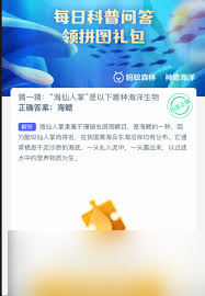 哪种海洋动物需要定时浮出水面换气