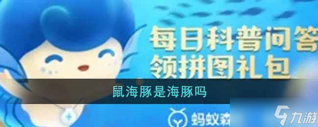“鼠海豚属于海豚类吗 ”