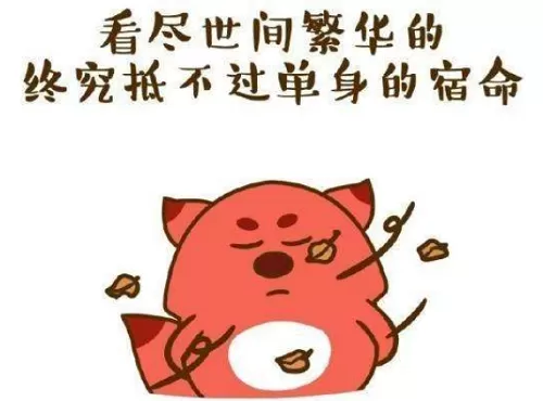 抖音如今的双十一已经变味了什么梗