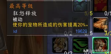 射击猎人输出手法及天赋攻略，怀旧服猎人经典标准射击天赋教学