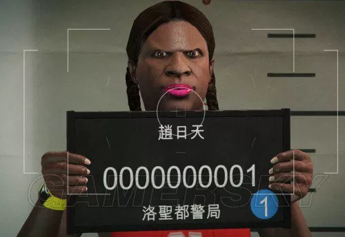 gta5捏脸数据女二次元,gta女性捏脸数据最新