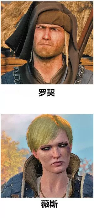 巫师3过去的鬼魂怎么完美结局?巫师3逝去的灵魂攻略