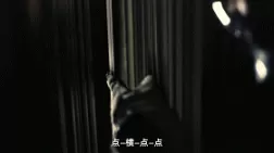 星际争霸1完整剧情,星际争霸1剧情深度解析