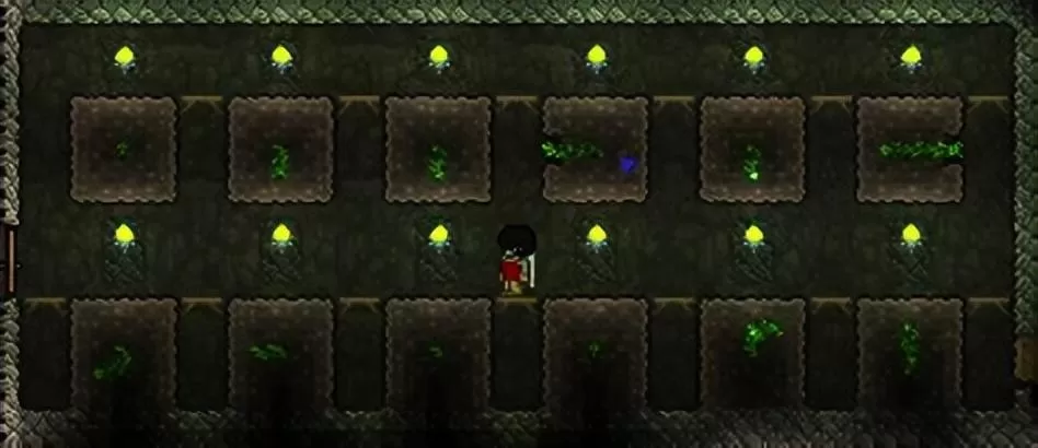 泰拉瑞亚种植攻略,泰拉瑞亚所有种植方法