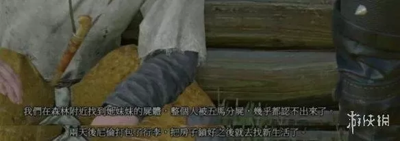 巫师3马之灵完美结局,巫师3完美结局全选项