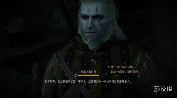 巫师3马之灵完美结局,巫师3完美结局全选项