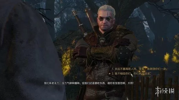 巫师3马之灵完美结局,巫师3完美结局全选项