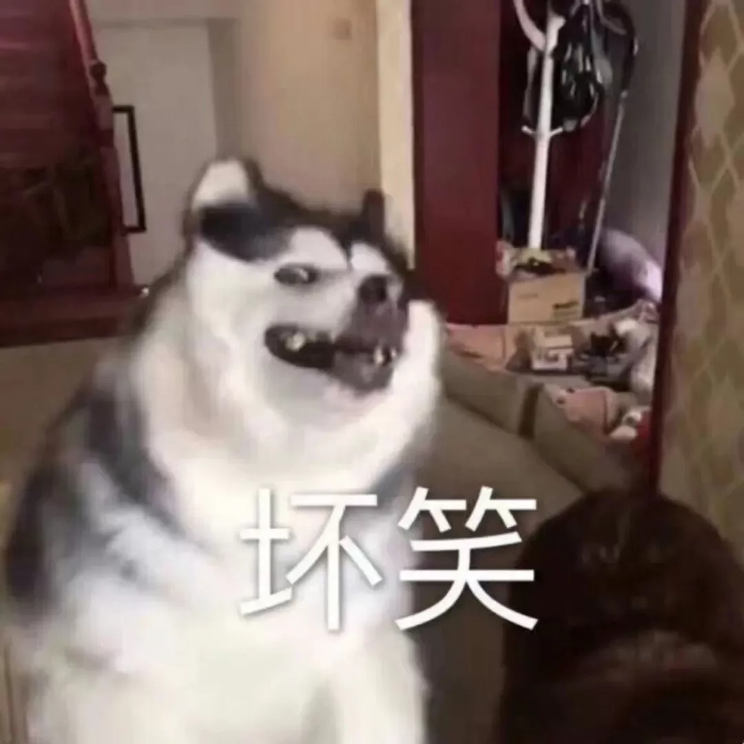 steam免费游戏,steam免费的高质量游戏推荐