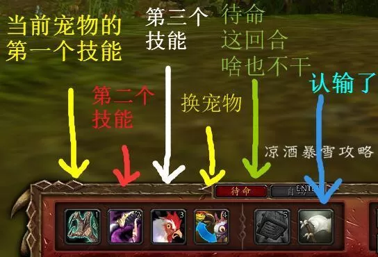 魔兽世界宠物对战怎么打?魔兽世界宠物对战玩法教学