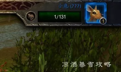 魔兽世界宠物对战怎么打?魔兽世界宠物对战玩法教学