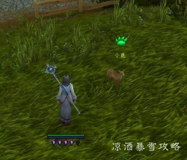 魔兽世界宠物对战怎么打?魔兽世界宠物对战玩法教学
