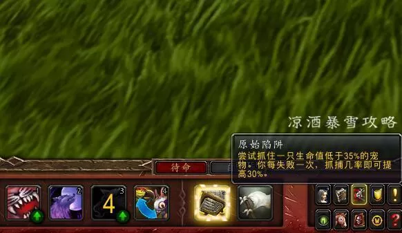 魔兽世界宠物对战怎么打?魔兽世界宠物对战玩法教学