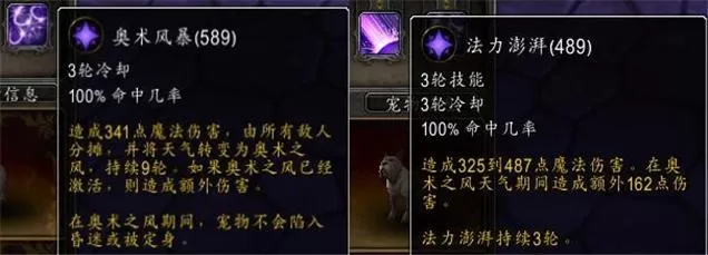 魔兽世界宠物对战怎么打?魔兽世界宠物对战玩法教学