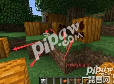 在我的世界里怎么做铁傀儡?我的世界铁傀儡制作教程介绍