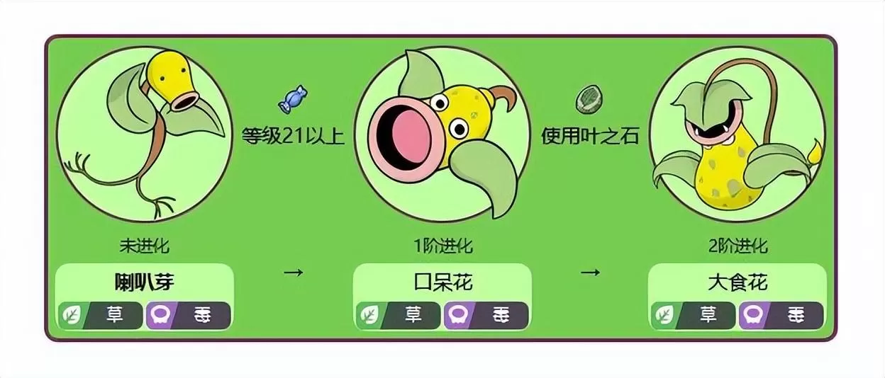 宝可梦喇叭芽几级进化?神奇宝贝喇叭芽进化攻略