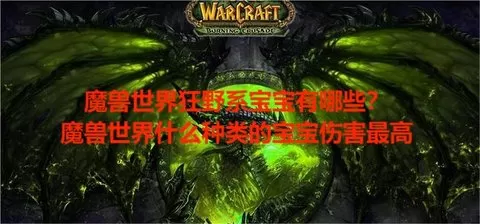 魔兽世界狂野系宝宝有哪些？魔兽世界什么种类的宝宝伤害最高