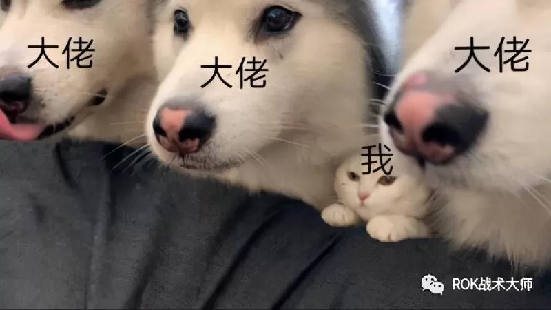 万国觉醒哪个英雄值得练?万国觉醒贫民新手玩家武将培养推荐