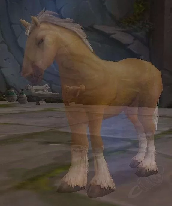 魔兽世界职业千金马怎么获得?怀旧服圣骑士坐骑任务流程攻略