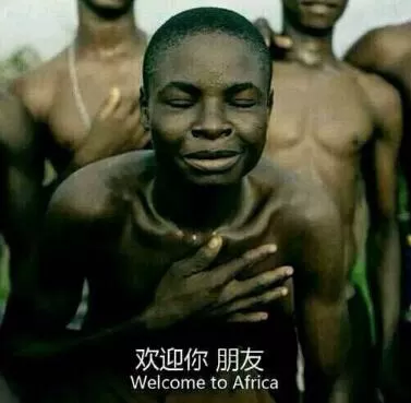 星露谷物语大门怎么放?新手初入星露谷物语怎么玩