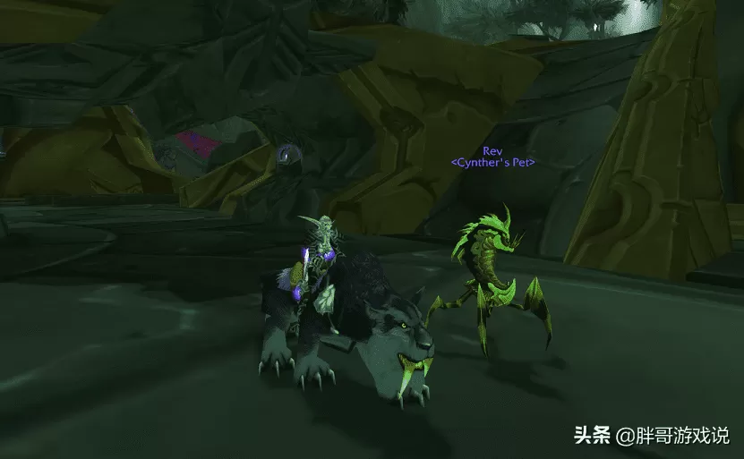 wow猎人宝宝推荐,魔兽世界P5猎人2款必带宠物