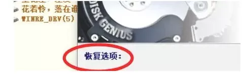 diskgenius怎么恢复删除的文件-diskgenius恢复删除的文件的方法