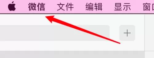 微信mac怎么设置隐藏主面板快捷键-设置隐藏主面板快捷键的方法