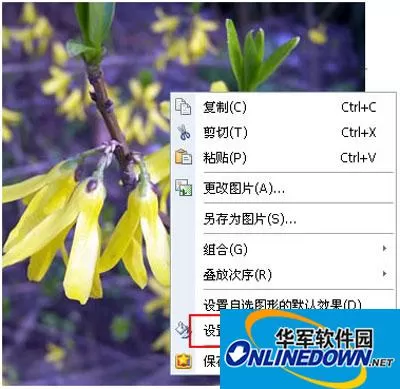 如何用WPS文字制作水印