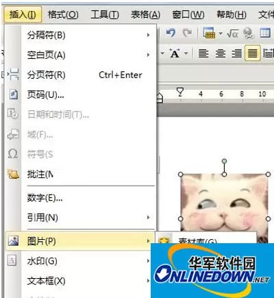 如何用WPS制作个性化模板