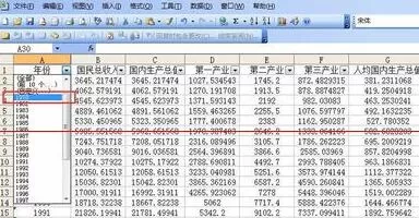Excel表格中对指定数据进行筛选的详细步骤
