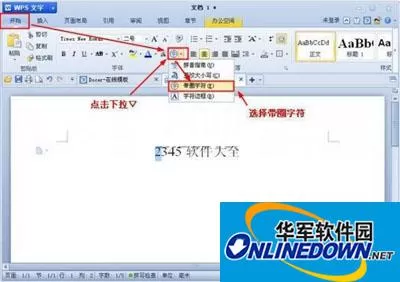 WPS文字带圈文字要怎么样输入