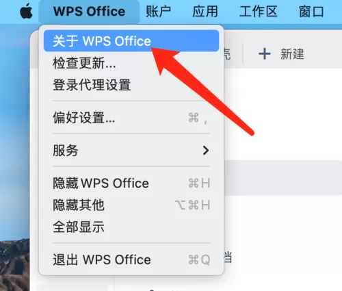 WPS office mac版如何查看版本详情-查看版本详情的方法