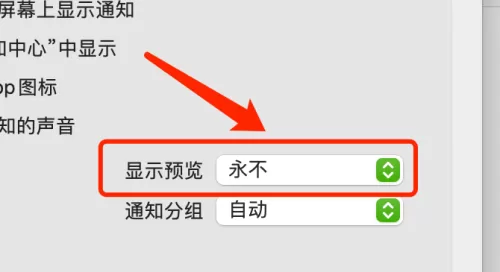 微信mac如何不显示消息预览-微信mac不显示消息预览的方法