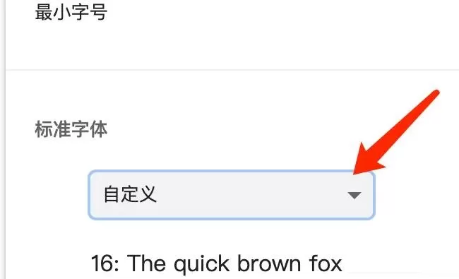 谷歌浏览器Mac版怎么设置标准字体样式-设置标准字体样式方法