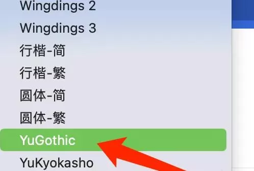 谷歌浏览器Mac版怎么设置标准字体样式-设置标准字体样式方法
