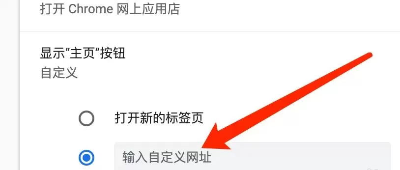 谷歌浏览器Mac版怎么自定义主页网址-自定义主页网址的方法