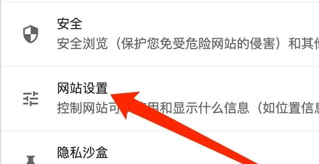 谷歌浏览器Mac版怎么允许网站重定向-允许网站重定向的方法