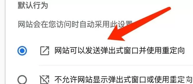 谷歌浏览器Mac版怎么允许网站重定向-允许网站重定向的方法