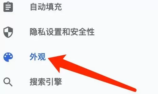 谷歌浏览器Mac版怎么打开主题背景-打开主题背景的方法