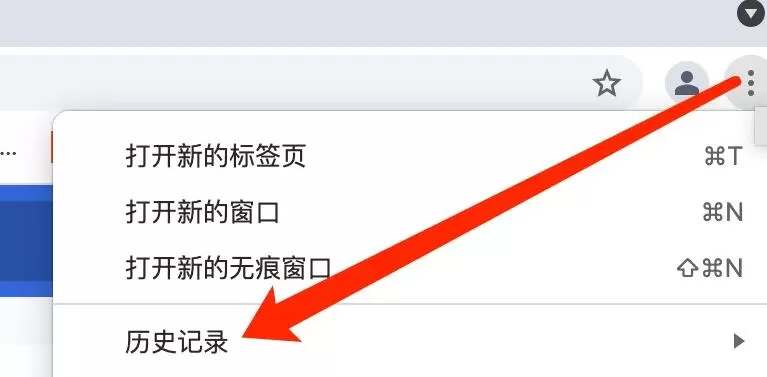 谷歌浏览器Mac版怎么打开历史记录页面-打开历史记录页面方法