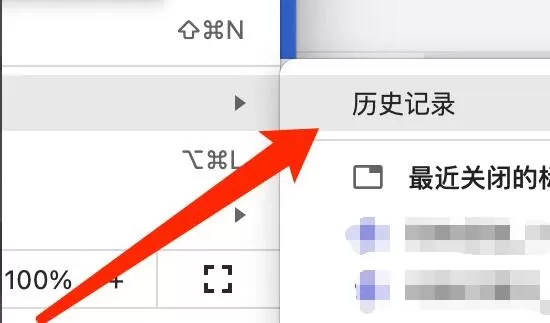 谷歌浏览器Mac版怎么打开历史记录页面-打开历史记录页面方法