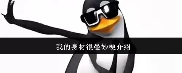 不知道反正我的身材很曼妙 我的身材很曼妙梗介绍