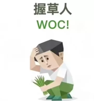 SBTI测试握草人 Sbti握草人特点分析