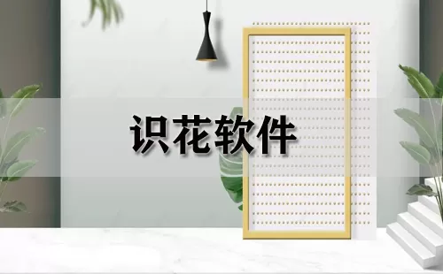 识花软件大全-识花软件哪个好