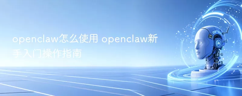 openclaw怎么使用 openclaw新手入门操作指南